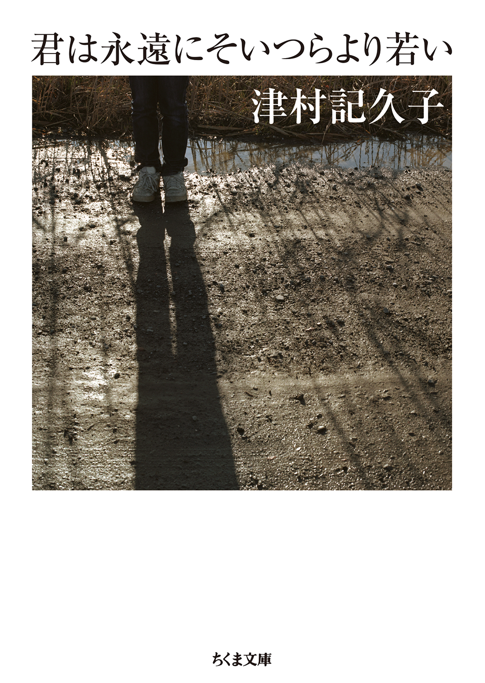 君は永遠にそいつらより若い小説画像